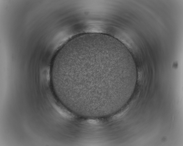 X0000090990302200708161922