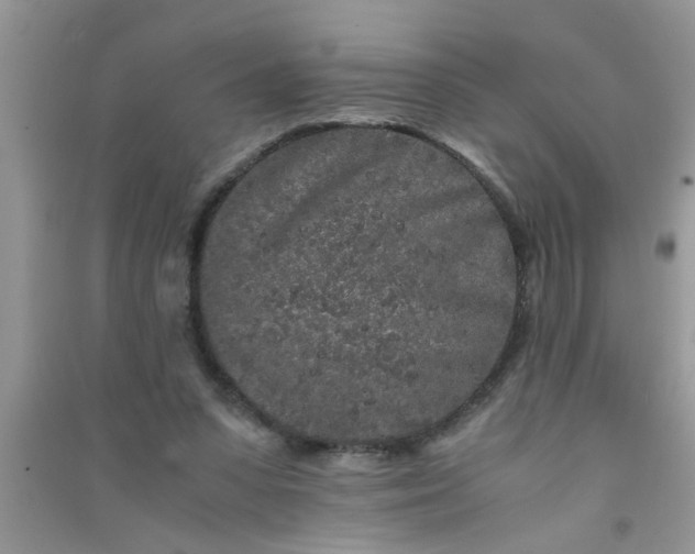 X0000090990303200708161922