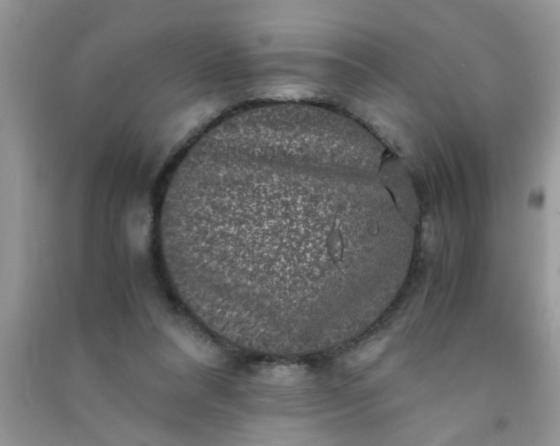 X0000090990304200708161922