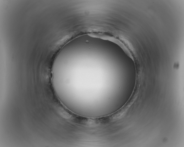 X0000090990305200708161922