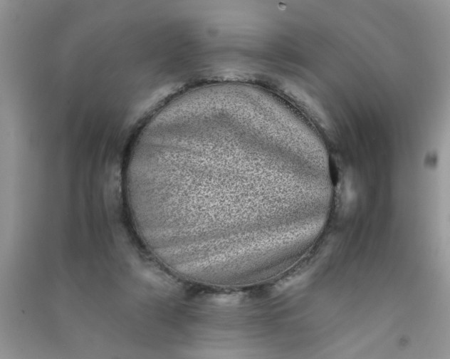 X0000090990306200708161922