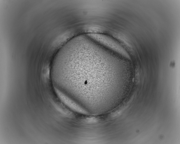 X0000090990310200708161922