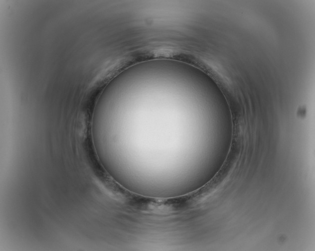 X0000090990311200708161922