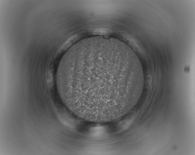 X0000090990312200708161922