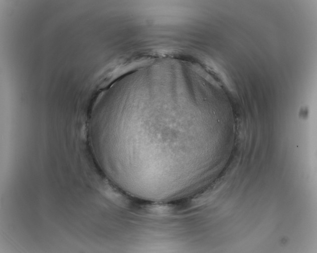 X0000090990313200708161922