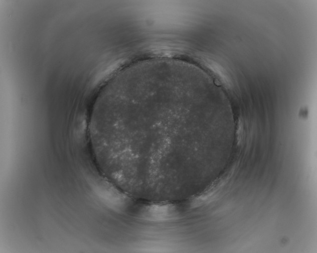 X0000090990314200708161922