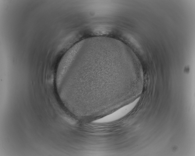 X0000090990315200708161922