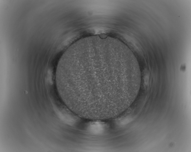 X0000090990316200708161922