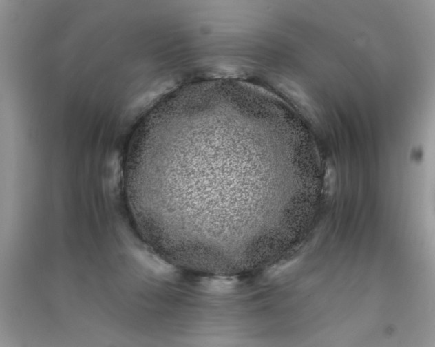 X0000090990318200708161922