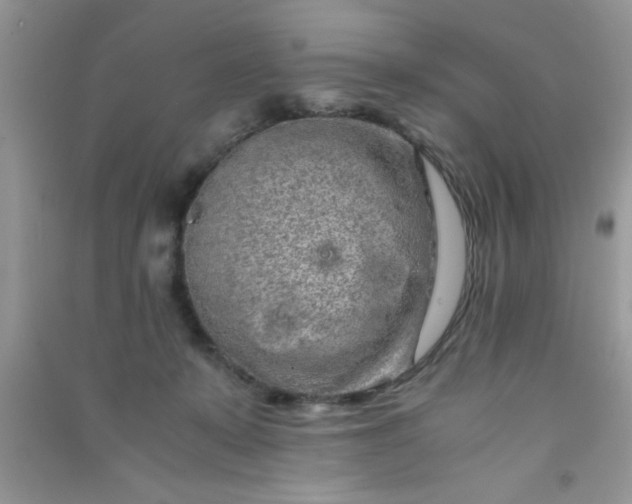 X0000090990319200708161922