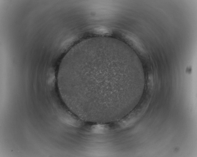 X0000090990320200708161922