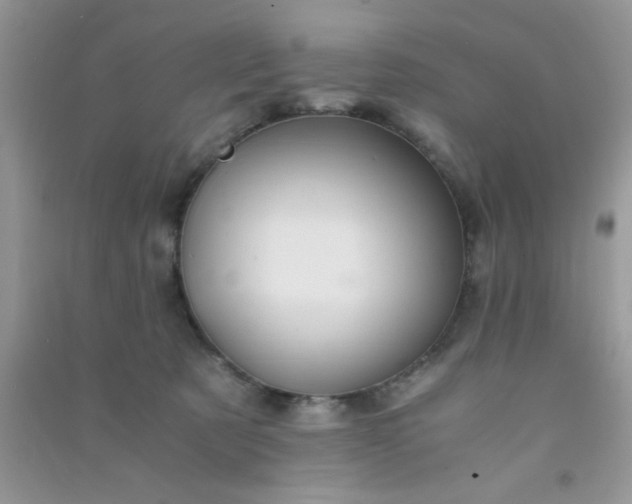 X0000090990321200708161922