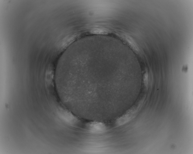 X0000090990322200708161922