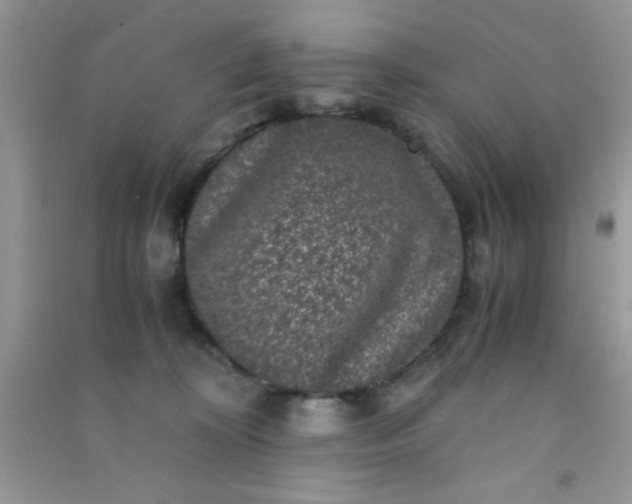 X0000090990324200708161922