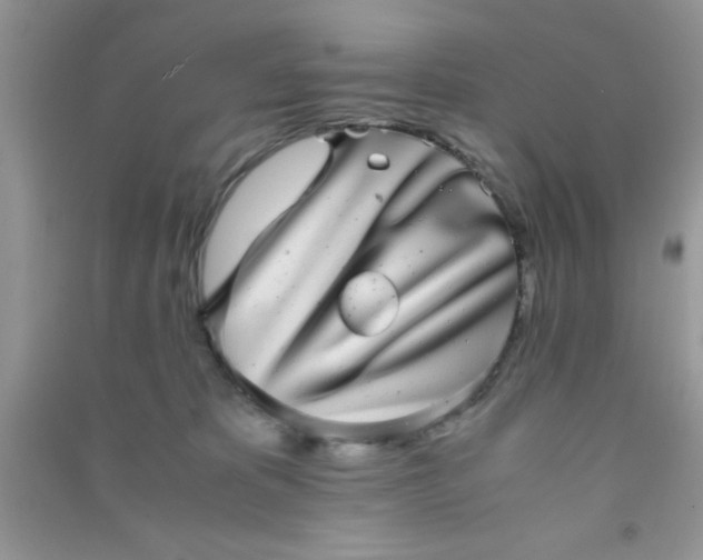 X0000090990325200708161922