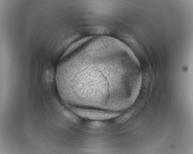 X0000090990326200708161922