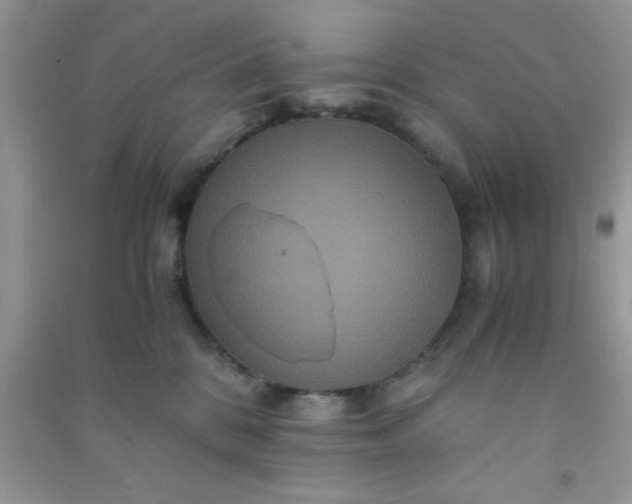 X0000090990328200708161922