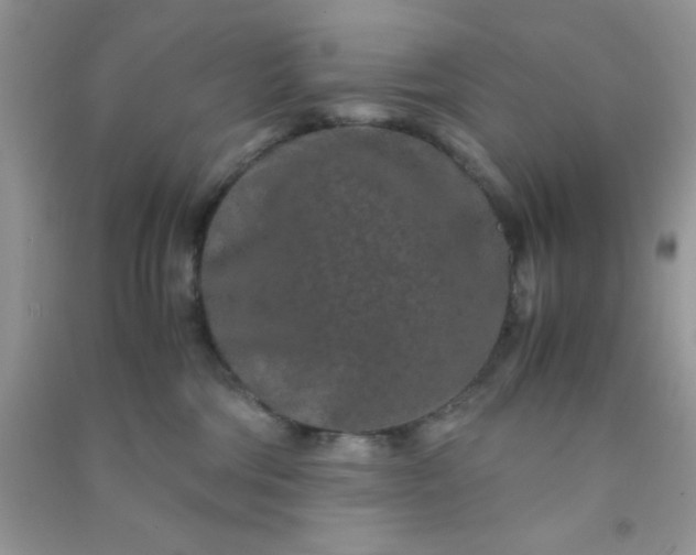 X0000090990330200708161922