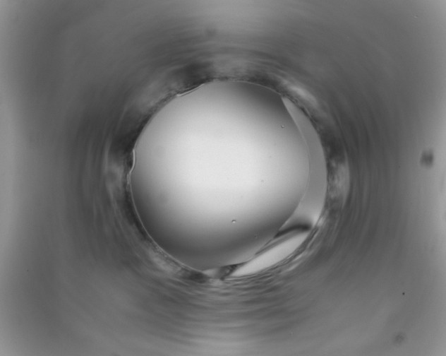 X0000090990333200708161922