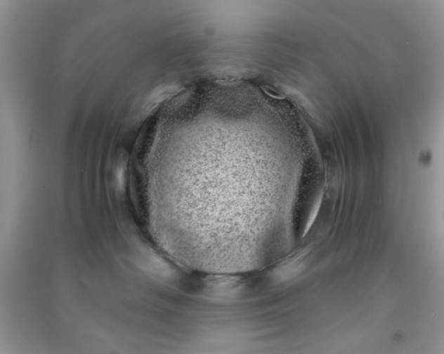 X0000090990334200708161922