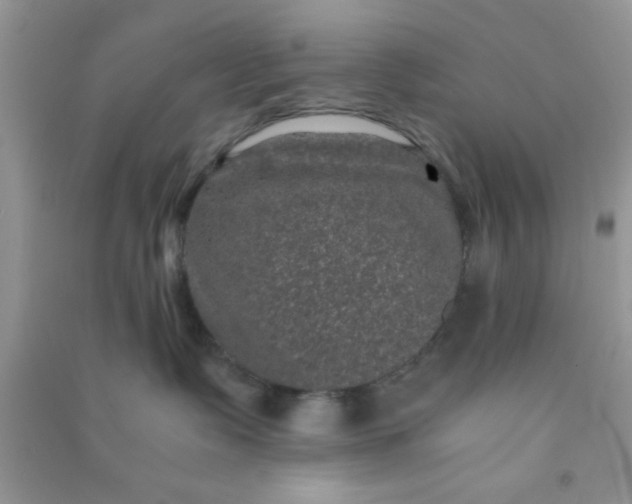 X0000090990335200708161922