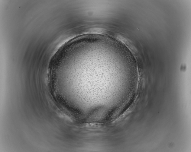 X0000090990338200708161921