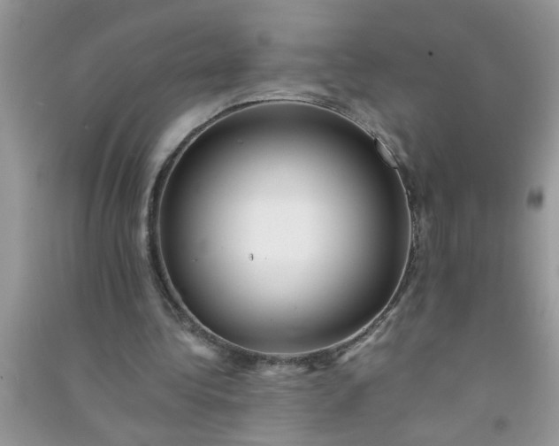 X0000090990340200708161921