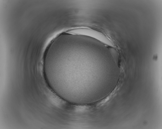 X0000090990342200708161921