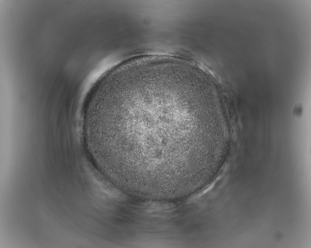 X0000090990343200708161921