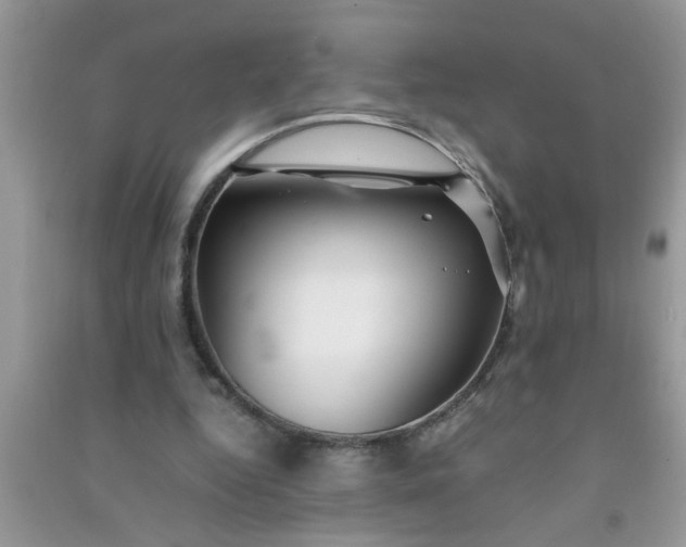 X0000090990344200708161921