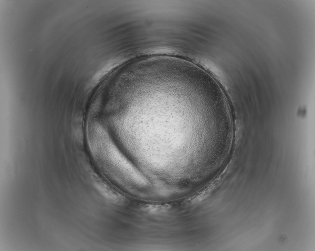 X0000090990345200708161921