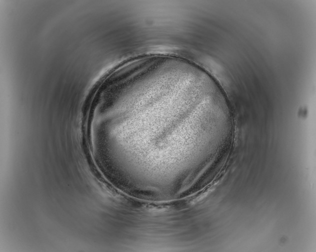 X0000090990346200708161921