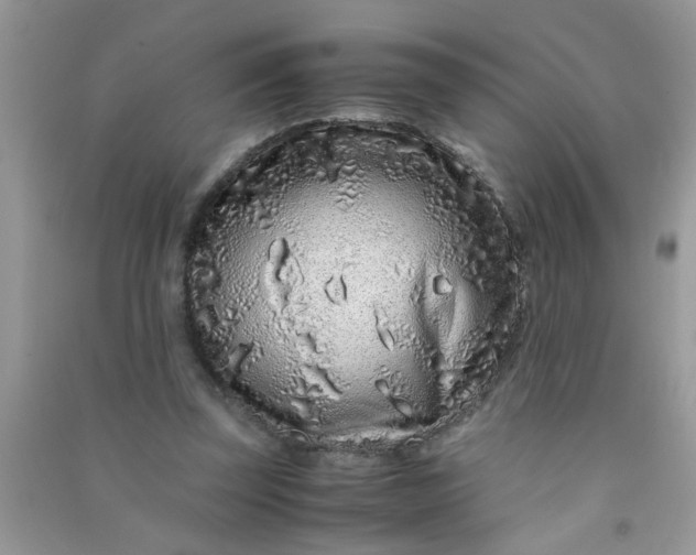 X0000090990347200708161921