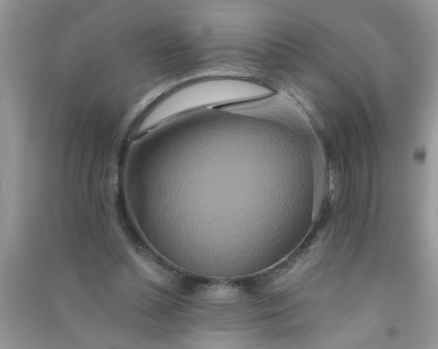 X0000090990348200708161921