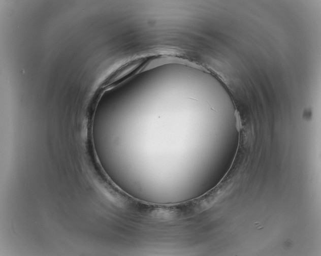 X0000090990350200708161921