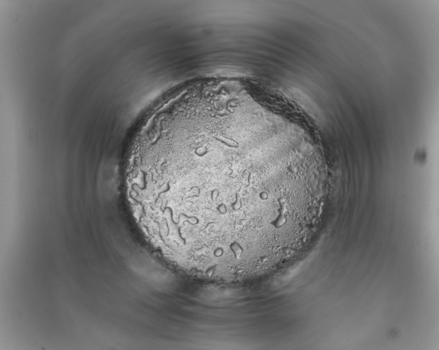 X0000090990351200708161921