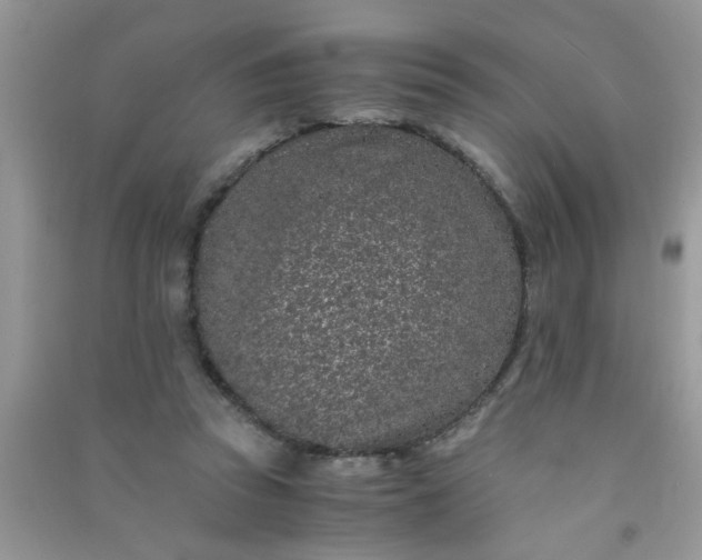 X0000090990353200708161922