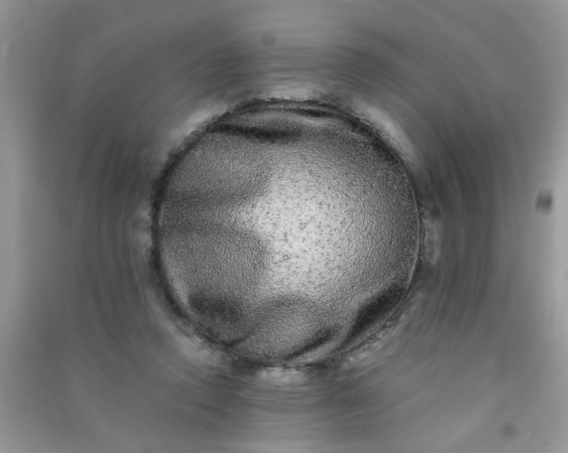 X0000090990354200708161922