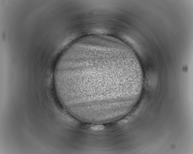 X0000090990355200708161922