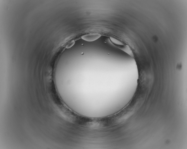 X0000090990356200708161922