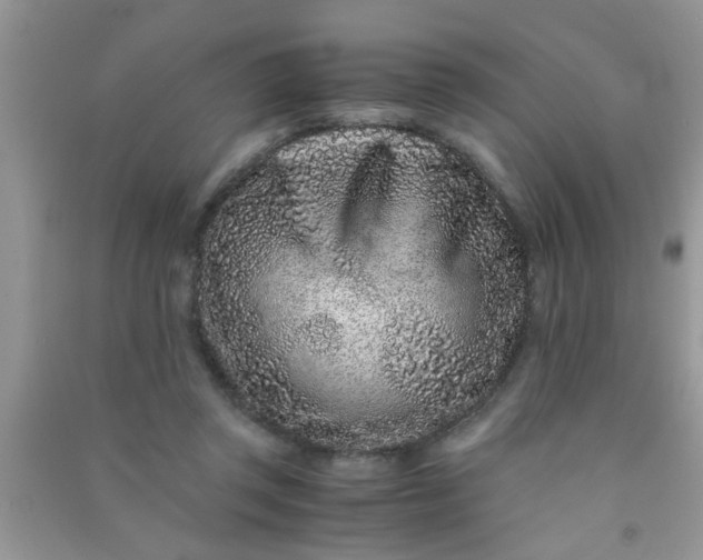 X0000090990357200708161922