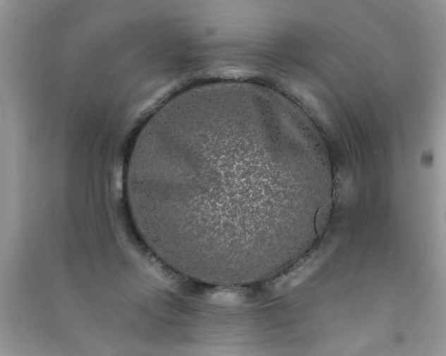 X0000090990358200708161922