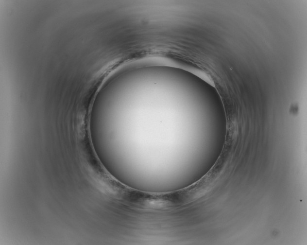 X0000090990360200708161922