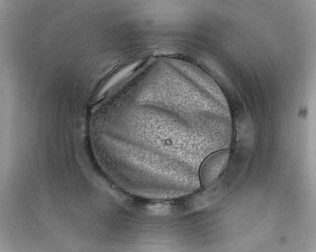 X0000090990362200708161922