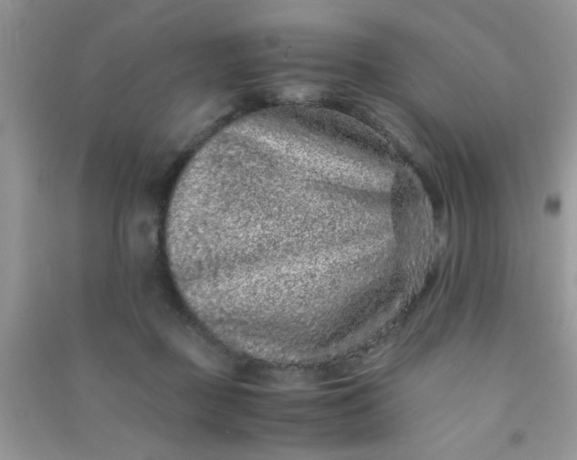 X0000090990363200708161922