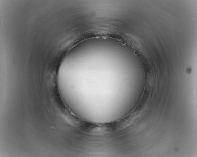 X0000090990364200708161922