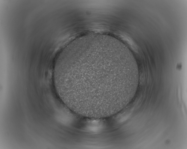 X0000090990365200708161922