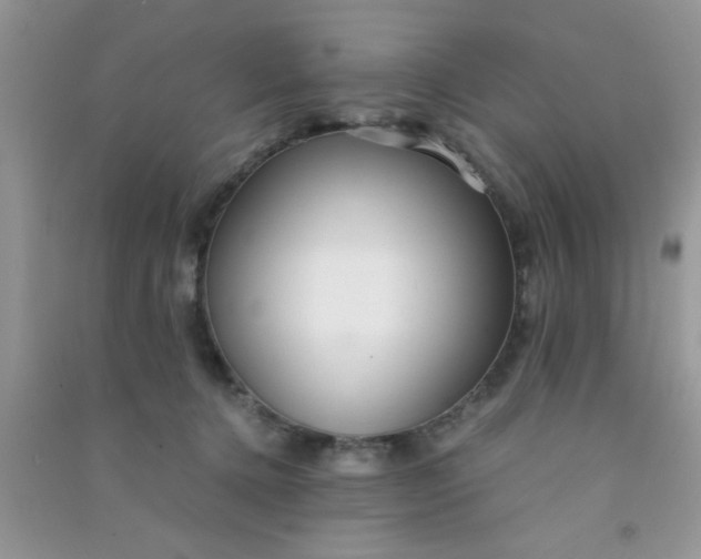 X0000090990368200708161922