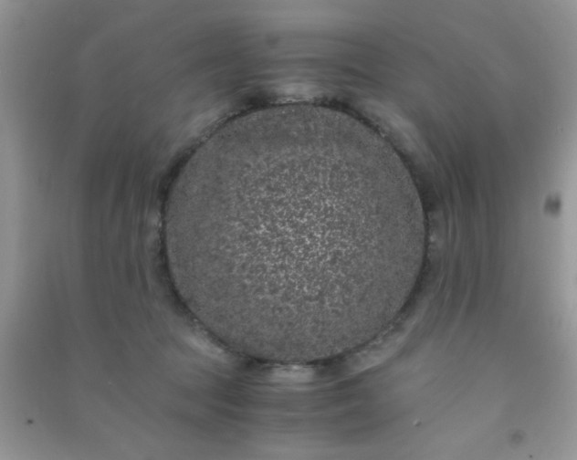 X0000090990369200708161922