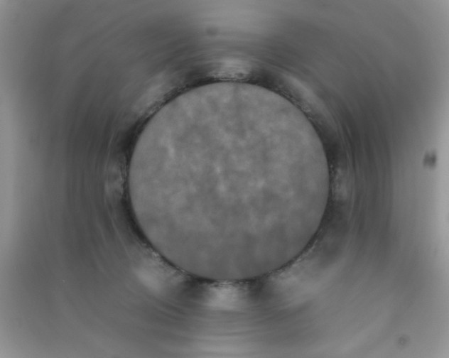 X0000090990370200708161922